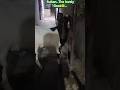 🐐Sultan The lovely unforgettable Goat 🤲#maroofanawazahmed #trendingshorts #minivlog #trend