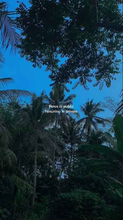 STORY WA KECE AKHIR TAHUN NINUNINU