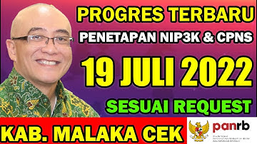 INFO PPPK HARI INI - PROGRES PENETAPAN NIP3K DAN NIP CPNS 19 JULI 2022