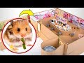 Un hamster salvaje en el sushi bar🍣🐹