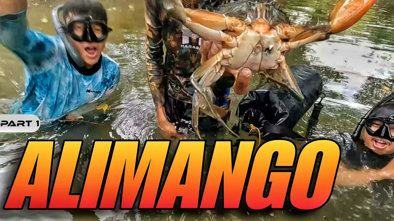 P1 - Nakarami ng Alimango sa Pamamana