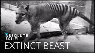 Has The Extinct Tasmanian Tiger Come Back To Life? | Boogeymen | Absolute SciFi