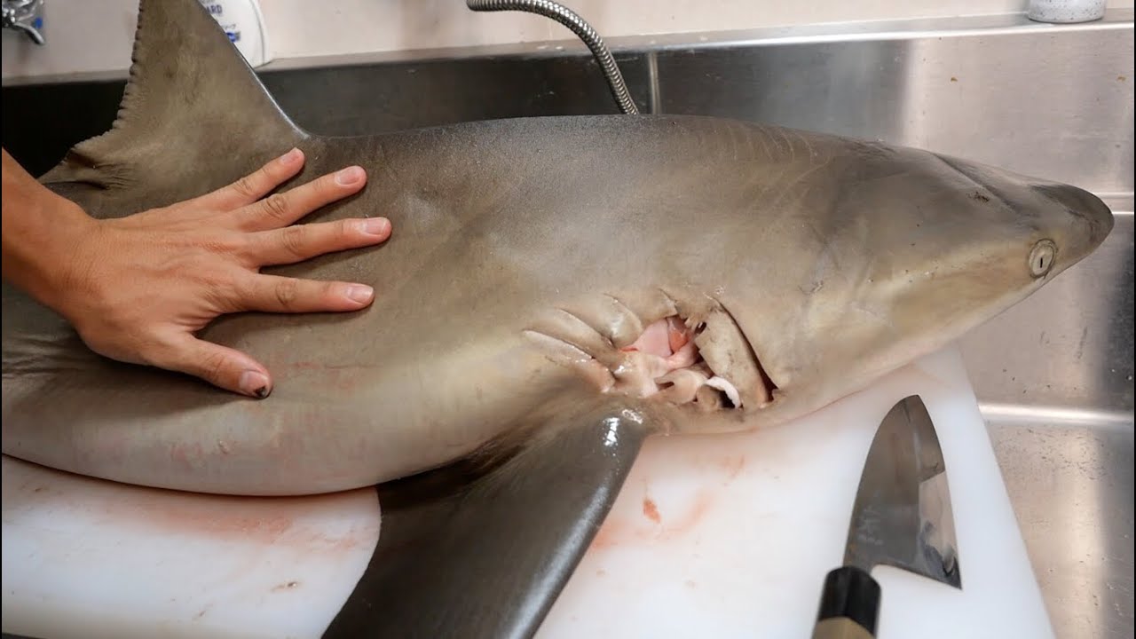 巨大ザメを解体すると胃の中から巨大生物の一部が・・・