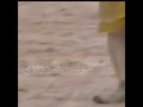 لاعب بسباط كلاص