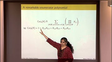 Enumerator Polynomials: Completeness and Intermediate Complexity