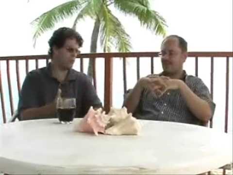 Dave Skarica and Mike Swanson discuss gold stocks ...