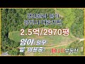 (토240626)당진시 임야매매/대호지면 생산관리지역 낮은 임야(일부 밭이용중) 2970평, 2억5천만