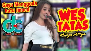 GAYA MENGGODA MELLYN ADITYA [ COVER ] WES TATAS - HAPPY ASMARA // AS PERKASA