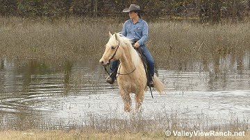 THC Docs Frost - trail, water, logs, bridge, teeter totter! - ValleyViewRanch.net