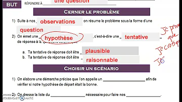 Comment formuler une hypothèse en psychologie ?