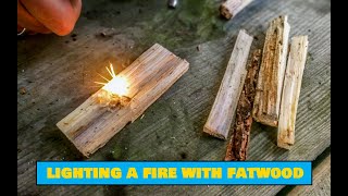 How to Light a Fire With Fatwood – Easy Outdoors Camping Tips
