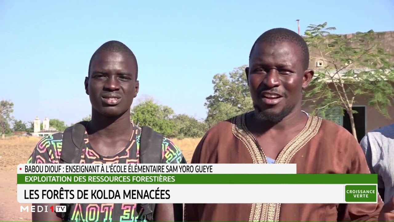 Exploitation des ressources forestières: les fôrets de Kolda menacées