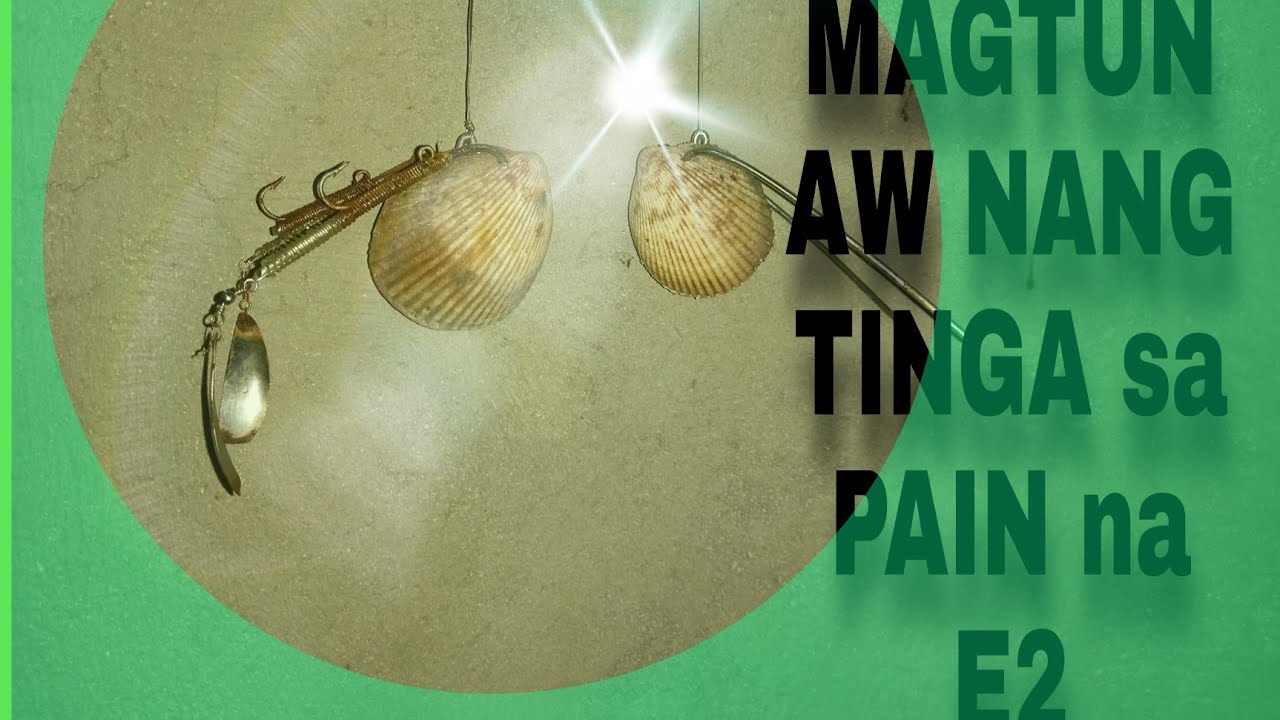 PAANO LAGYAN NG TINGGA ANG SHELL NA ITO?