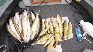 JUMBO PERCH AND WALLEYE JIGGING ON LAKE ST.CLAIR - LAKE ST.CLAIR FISHING