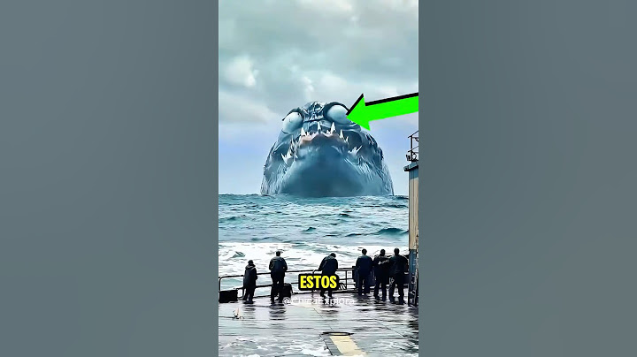 Los 3 Reyes del Mar que Podrían Devorarte! 🦈🌊