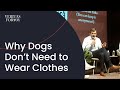 Why Dogs Don&#39;t Need to Wear Clothes | Curt Thompson at Vanderbilt