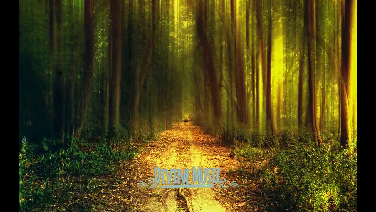 Grouper Poison Tree YouTube