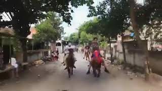 Download Lagu Best Tradition Jantuk Sukamulia Lombok Timur Tiyu 2019 MP3