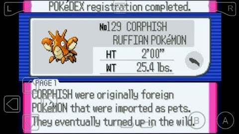 129: Where to Find Corphish in Pokemon Ruby!