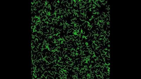 Collision Visualization II