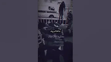 شيل شيليا حوطك بالله دم الشهيد معطر بالهيل هي يله السويداء سوريا الساحل السوري دمشق 