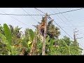 Low tension overhead lines power fault detection and rectification