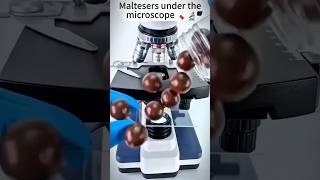 Maltesers , chocolate candy🍡#shorts #shortvideo #viral #trending #chocolate #candy #microscope