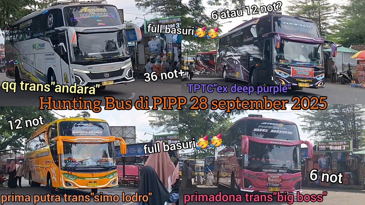 Hunting Bus di PIPP 28 september 2025. Ketemu qq trans!?full basuri!!