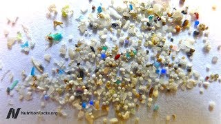 Kolik mikroplastu se nachází v rybím filé?