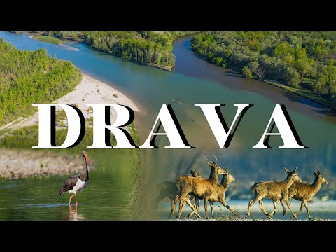 Rivers of Croatia: The Drava River, last living lowland river in Europe