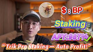 💰 Proyek staking BP Solana tanpa risiko, profit 987%!
