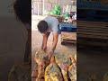 It Looks Like Wood, But It's Actually Meat! 🥩 😳 #shortsvideo