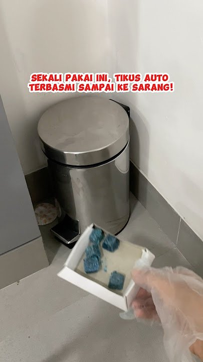 Sekali Pakai Ini, Tikus Akan Terbasmi Sampai Ke Sarang #shorts