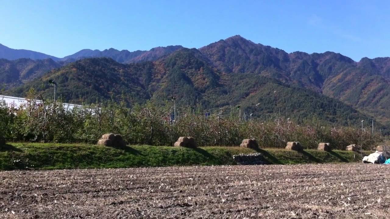 かぼちゃ やま 農場