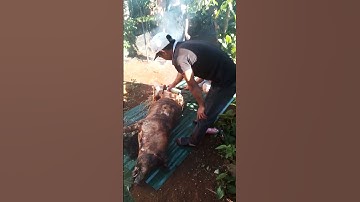 lễ cầu mưa tại Tây Nguyên