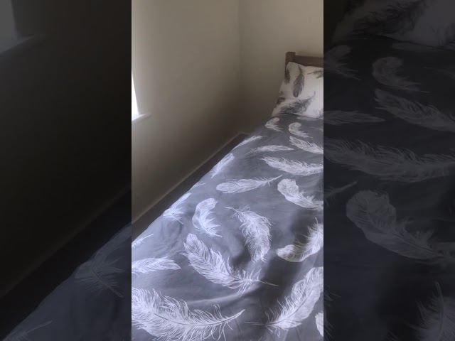 Video 1: