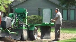 American Aerial Tree Stump Removal