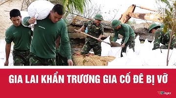 Gia Lai khẩn trương gia cố đê bị vỡ | VTV24