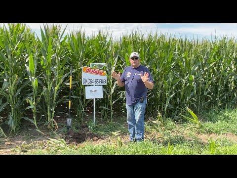 In the Field with Dr. John McNamara July 21, 2022