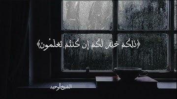 الشيخ وحيد حسين/ تلاوة من ﴿سورة التوبة﴾ (فاستمعوا له وانصتوا لعلكم ترحمون) 🥺😴