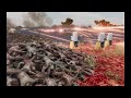 750,000 zombies vs 50 defense turrets