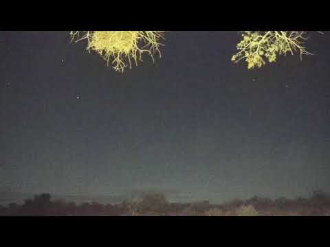 camera iphone 8 plus apk Djuma Private Game Reserve Live Stream