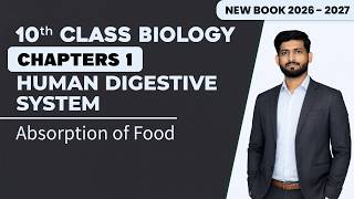 10th Class Biology Chapter 1 | Absorption of Food | Matric Biology New Book 2026 - 2027