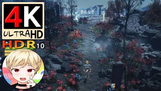 [블레이드&amp;소울] 붉은 심연 2단계 (Blade &amp; Soul) [4K HDR10 60fps]