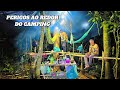 Acampamento SUSPENSO com muitos PERIGOS ao redor PESCARIA raiz com CANIÇO