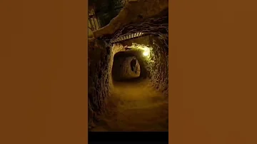 كيف اتخيل رواية ارض زيكولا شارك هذه الفيديو Shorts 