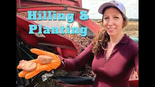 Hilling and planting potatoes