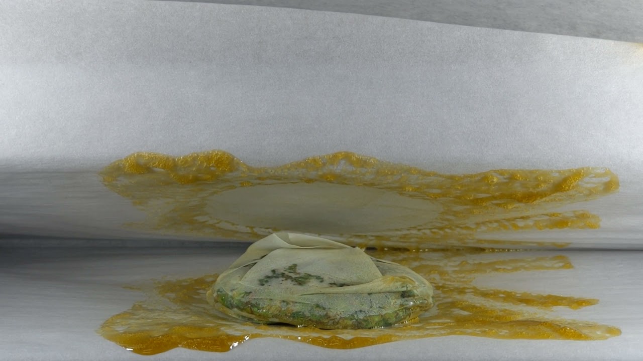 Pressing 7gms of Donny Burger flower by Calypso PA for a patient today.