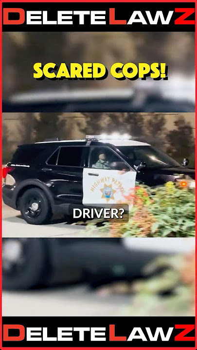 WAIT FOR IT! COPS DO WHAA??