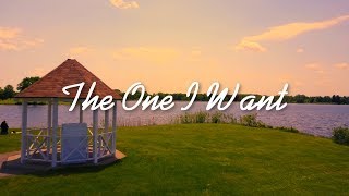 Vídeo de The One I Want